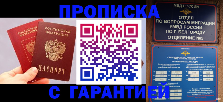 прописка 2025 в Сураже